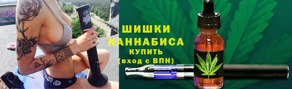 прущие грибы Абдулино