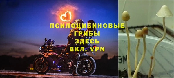 jwh Абаза