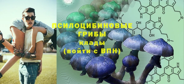 прущие грибы Алексин