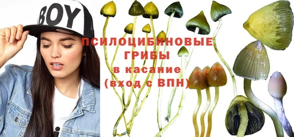 jwh Абаза